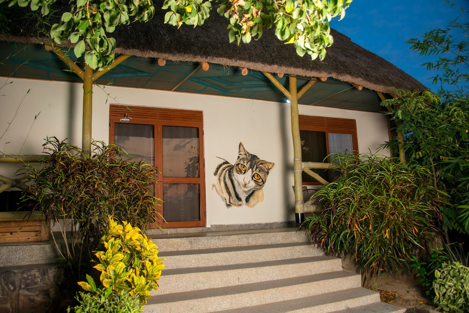 Cat Cottage